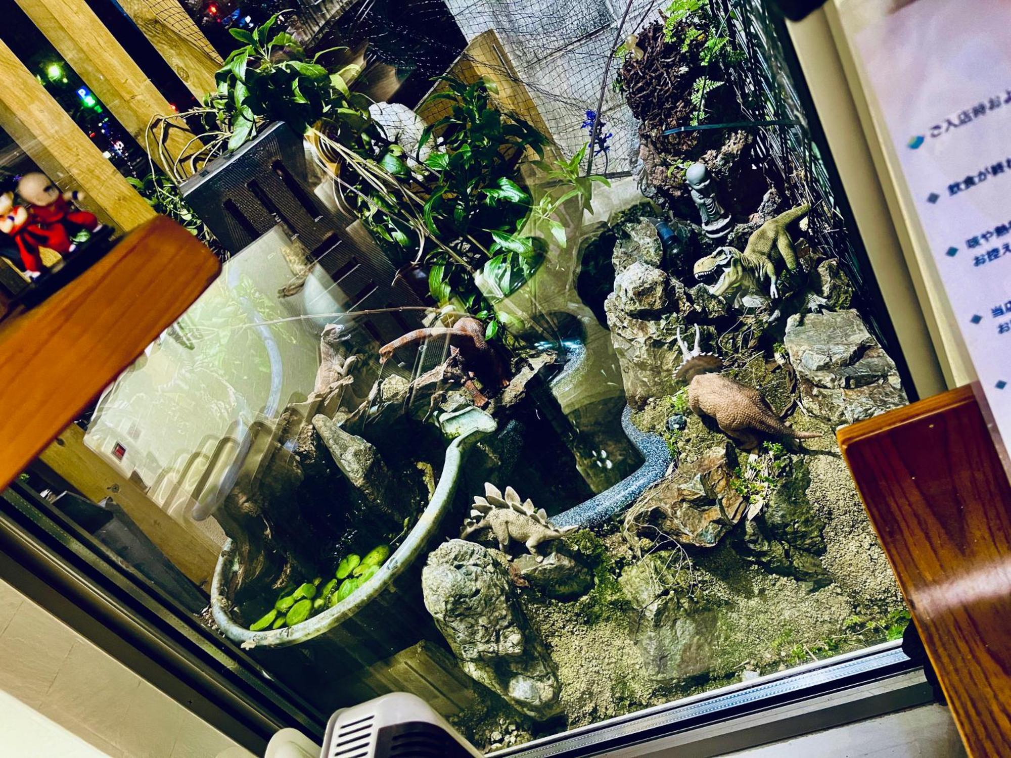 Koke Musu Inn أوتسو المظهر الخارجي الصورة